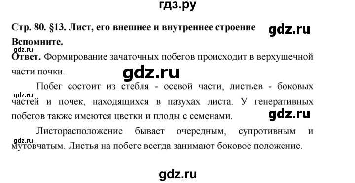 ГДЗ по биологии 6 класс  Пономарева  Базовый уровень параграф 13 (страница) - 80, Решебник