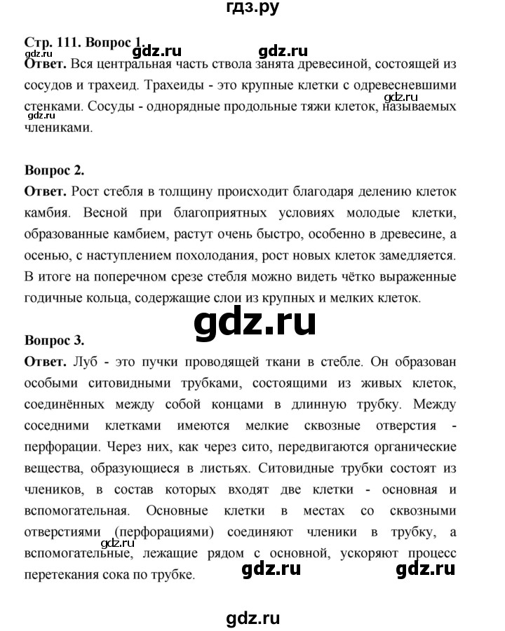 ГДЗ по биологии 6 класс  Пономарева  Базовый уровень параграф 18 (страница) - 111, Решебник