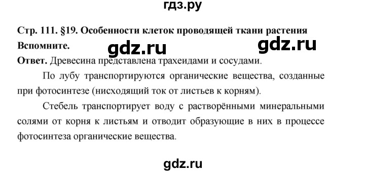 ГДЗ по биологии 6 класс  Пономарева  Базовый уровень параграф 19 (страница) - 111, Решебник