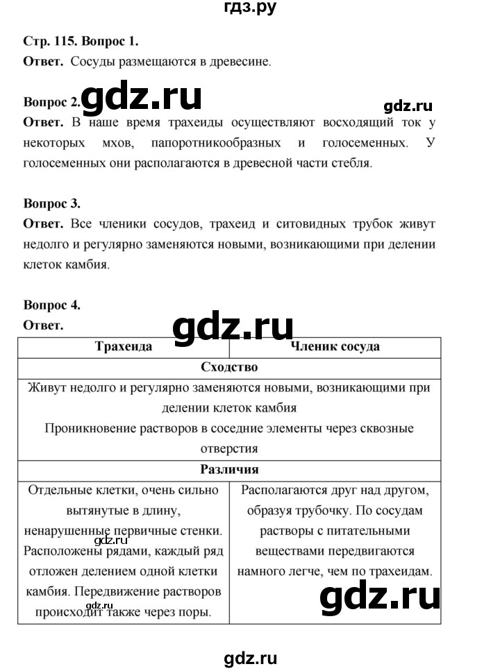 ГДЗ по биологии 6 класс  Пономарева  Базовый уровень параграф 19 (страница) - 115, Решебник