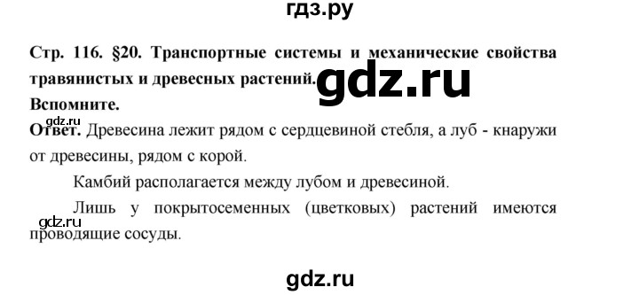 ГДЗ по биологии 6 класс  Пономарева  Базовый уровень параграф 20 (страница) - 116, Решебник