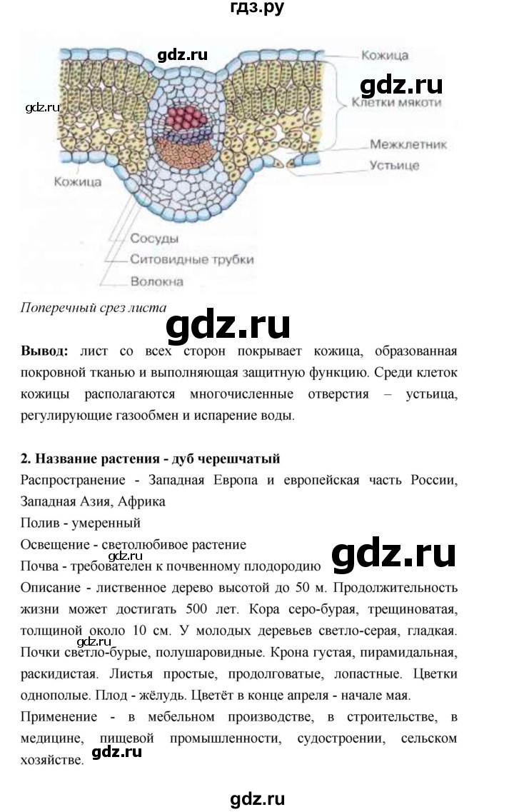 ГДЗ по биологии 6 класс  Пономарева  Базовый уровень параграф 20 (страница) - 127, Решебник