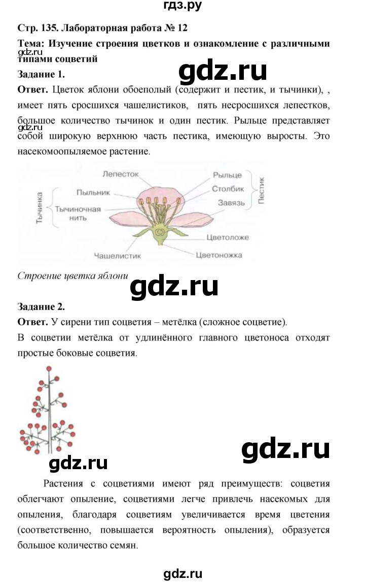 ГДЗ по биологии 6 класс  Пономарева  Базовый уровень параграф 21 (страница) - 136, Решебник