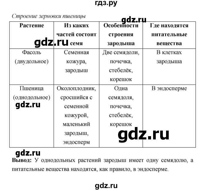 ГДЗ по биологии 6 класс  Пономарева  Базовый уровень параграф 25 (страница) - 163, Решебник