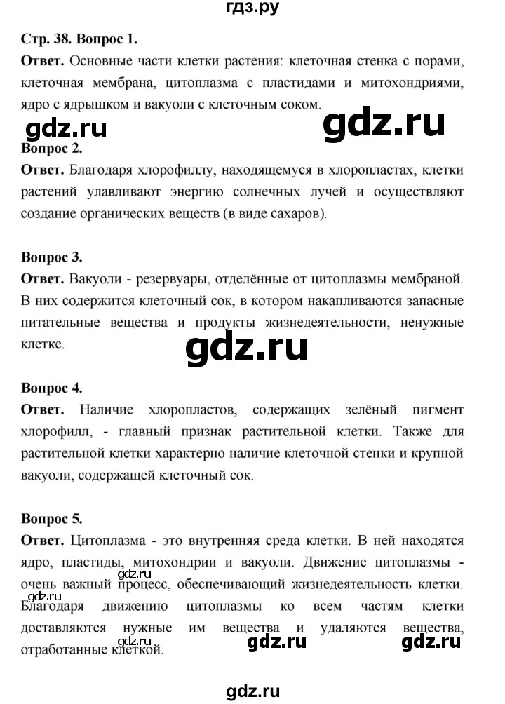 ГДЗ по биологии 6 класс  Пономарева  Базовый уровень параграф 5 (страница) - 38, Решебник