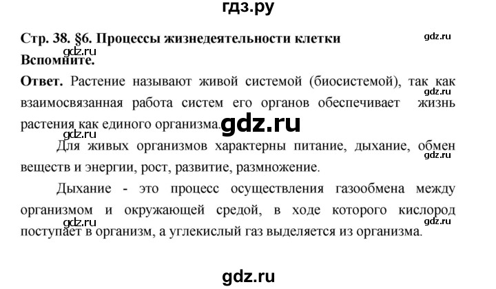 ГДЗ по биологии 6 класс  Пономарева  Базовый уровень параграф 6 (страница) - 38, Решебник