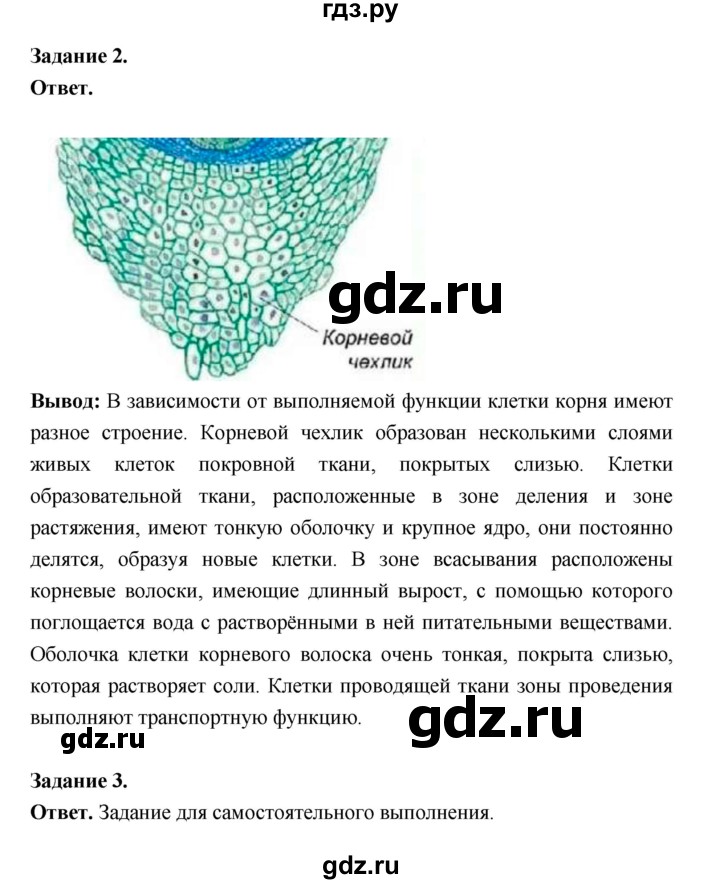 ГДЗ по биологии 6 класс  Пономарева  Базовый уровень параграф 8 (страница) - 57, Решебник