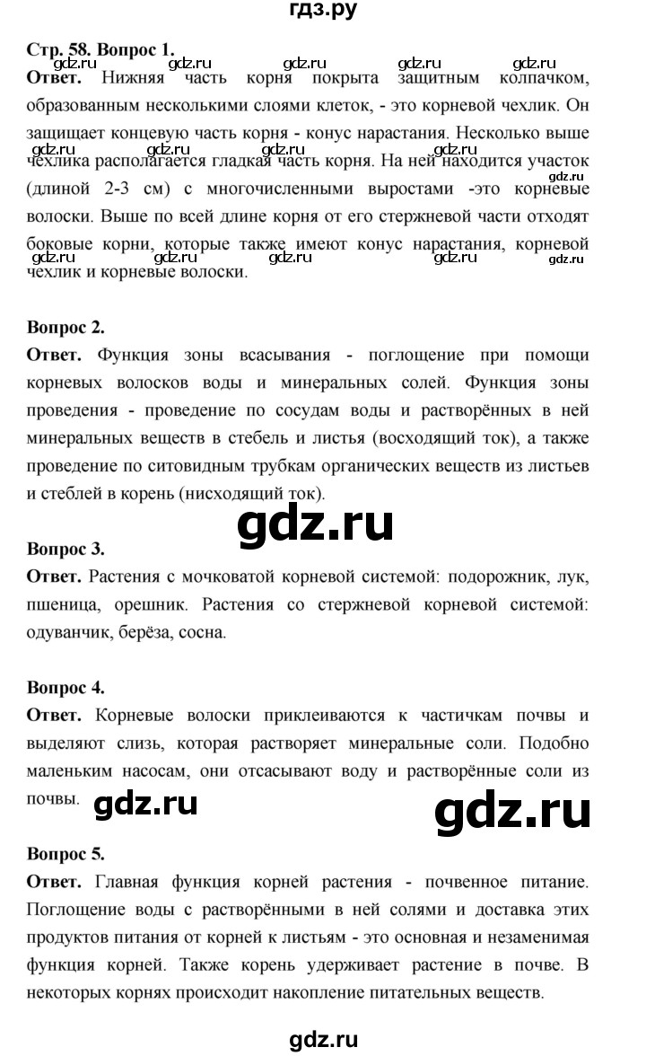 ГДЗ по биологии 6 класс  Пономарева  Базовый уровень параграф 8 (страница) - 58, Решебник