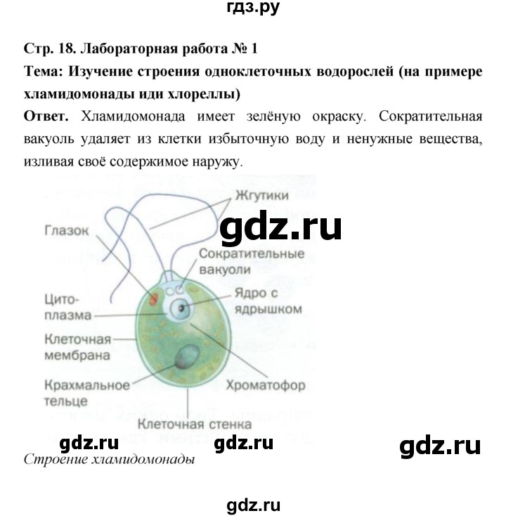 ГДЗ по биологии 7 класс Пономарева  Базовый уровень Параграф 3 (страница) - 18, Решебник