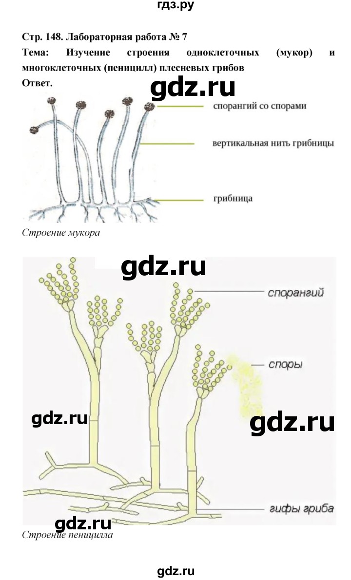 ГДЗ по биологии 7 класс Пономарева  Базовый уровень Параграф 25 (страница) - 148, Решебник