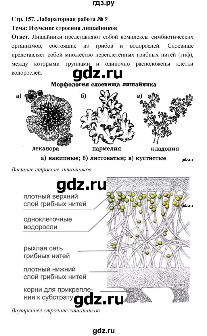 ГДЗ по биологии 7 класс Пономарева  Базовый уровень Параграф 27 (страница) - 157, Решебник
