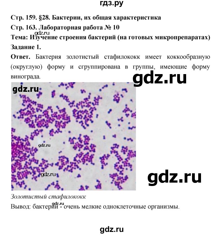 ГДЗ по биологии 7 класс Пономарева  Базовый уровень Параграф 28 (страница) - 159, Решебник