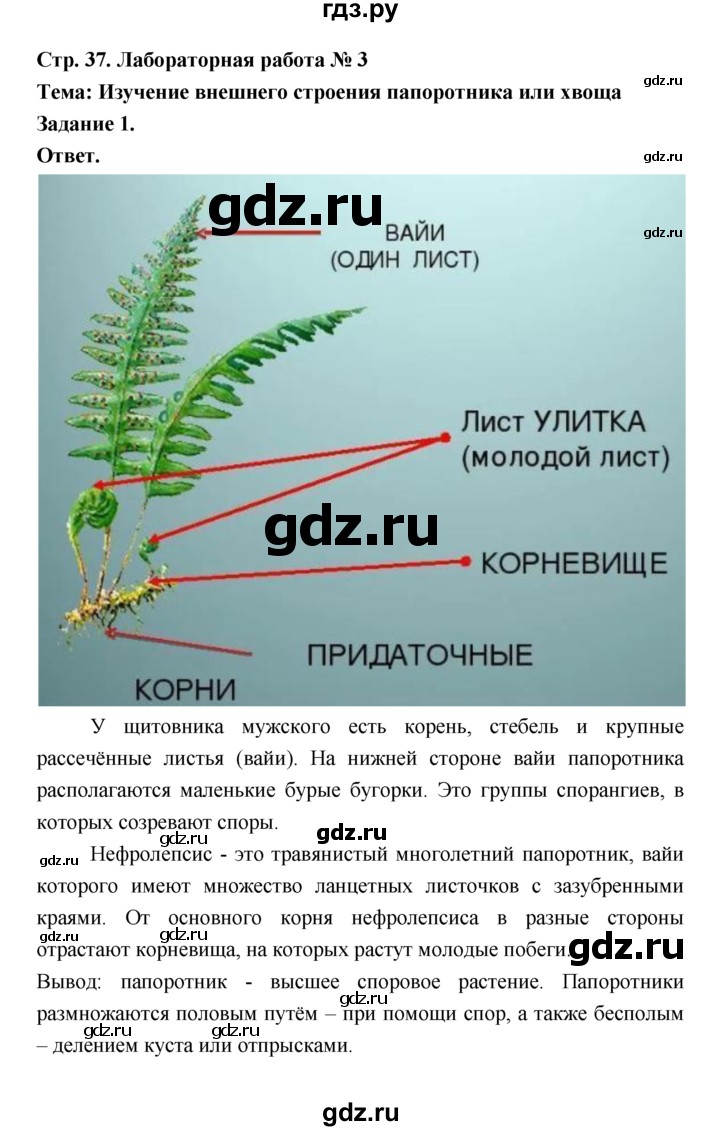 ГДЗ по биологии 7 класс Пономарева  Базовый уровень Параграф 7 (страница) - 37, Решебник