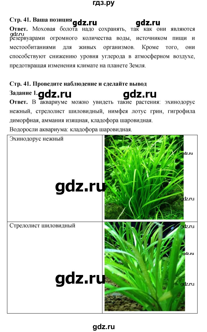 ГДЗ по биологии 7 класс Пономарева  Базовый уровень Параграф 7 (страница) - 41, Решебник