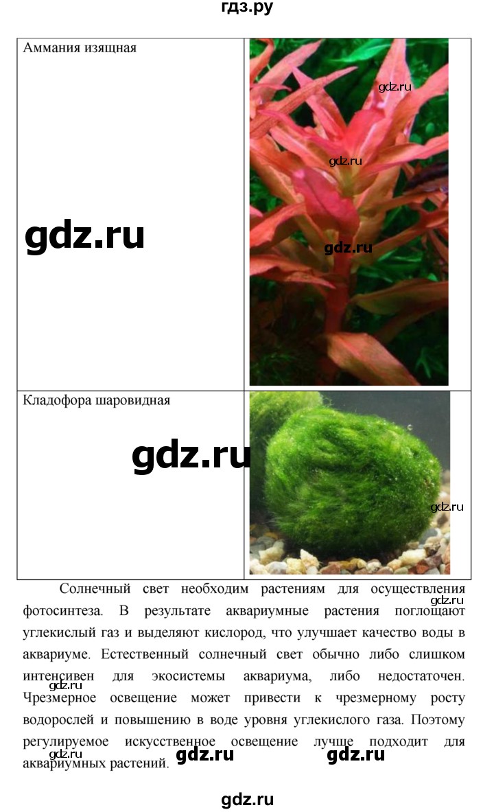 ГДЗ по биологии 7 класс Пономарева  Базовый уровень Параграф 7 (страница) - 41, Решебник