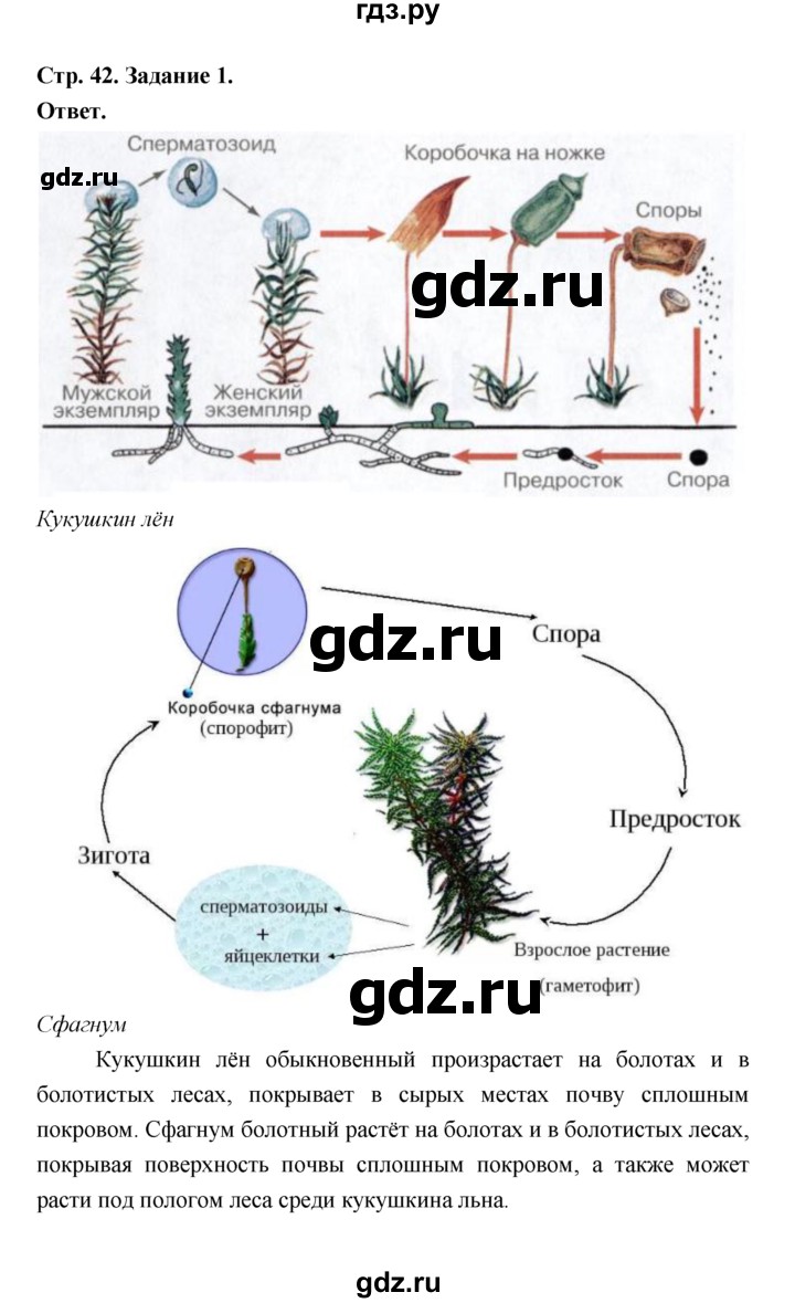 ГДЗ по биологии 7 класс Пономарева  Базовый уровень Параграф 7 (страница) - 42, Решебник