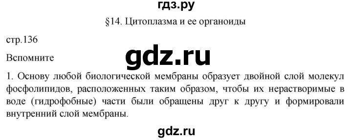 ГДЗ по биологии 10 класс Пасечник  Углубленный уровень §14 / вспомните - 1, Решебник