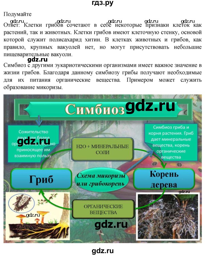 ГДЗ по биологии 10 класс Пасечник  Углубленный уровень §17 / подумайте - 1, Решебник