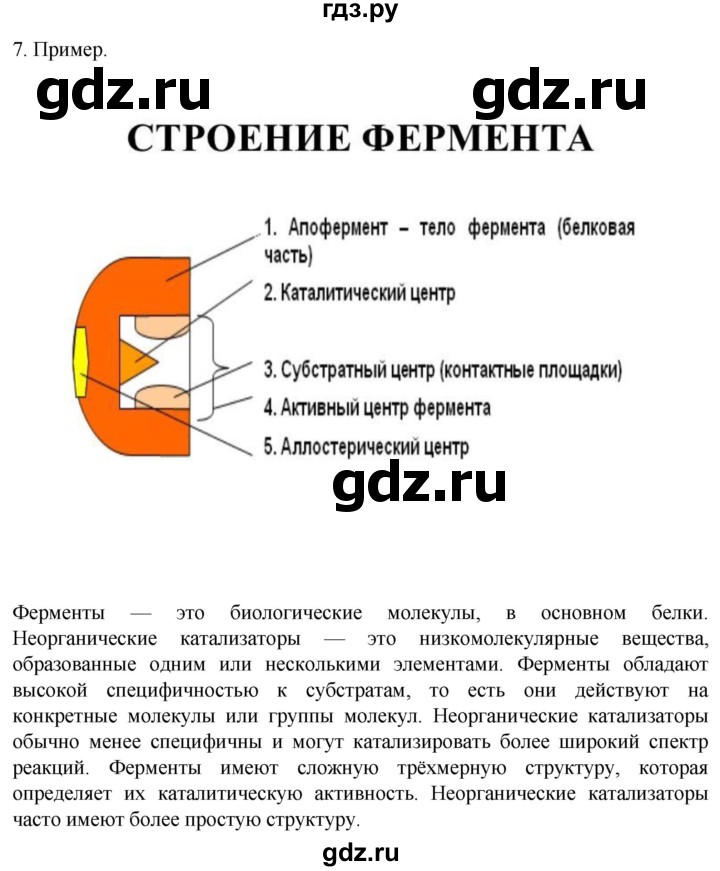 ГДЗ по биологии 10 класс Пасечник  Углубленный уровень §18 / проверьте себя - 7, Решебник