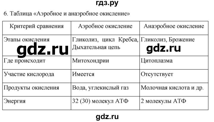 ГДЗ по биологии 10 класс Пасечник  Углубленный уровень §21 / проверьте себя - 6, Решебник