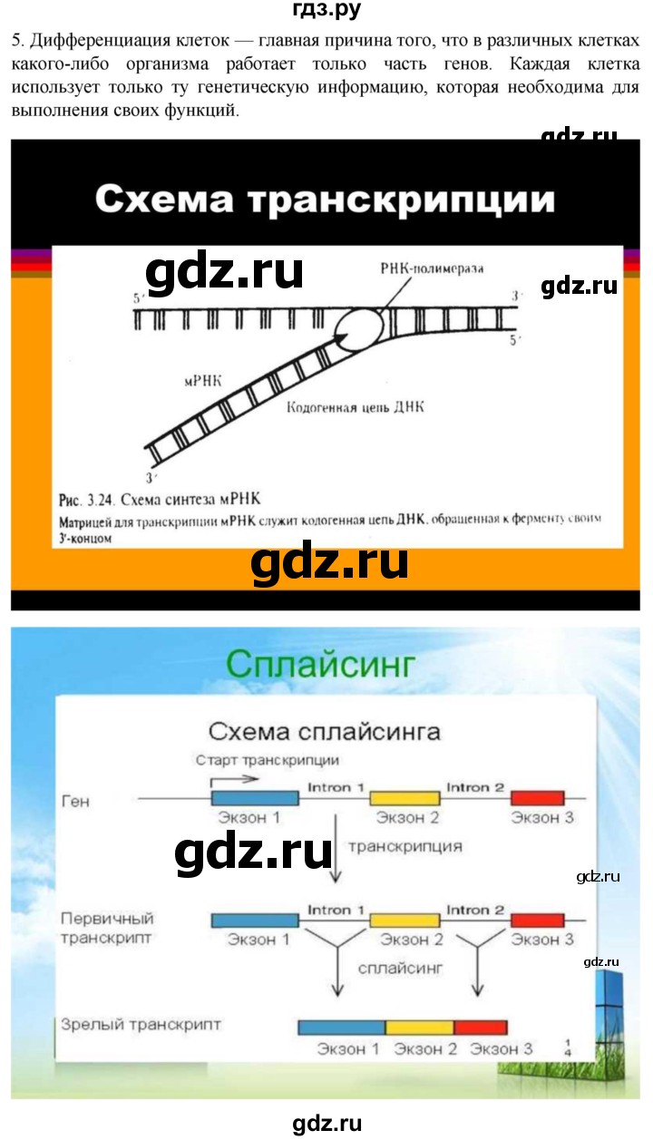 ГДЗ по биологии 10 класс Пасечник  Углубленный уровень §22 / проверьте себя - 5, Решебник