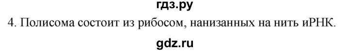 ГДЗ по биологии 10 класс Пасечник  Углубленный уровень §23 / проверьте себя - 4, Решебник