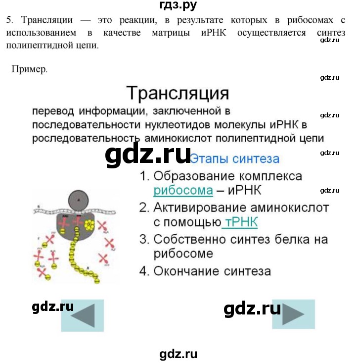 ГДЗ по биологии 10 класс Пасечник  Углубленный уровень §23 / проверьте себя - 5, Решебник