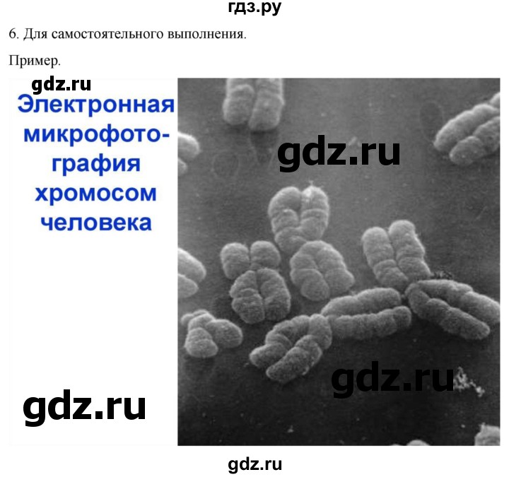 ГДЗ по биологии 10 класс Пасечник  Углубленный уровень §27 / проверьте себя - 6, Решебник