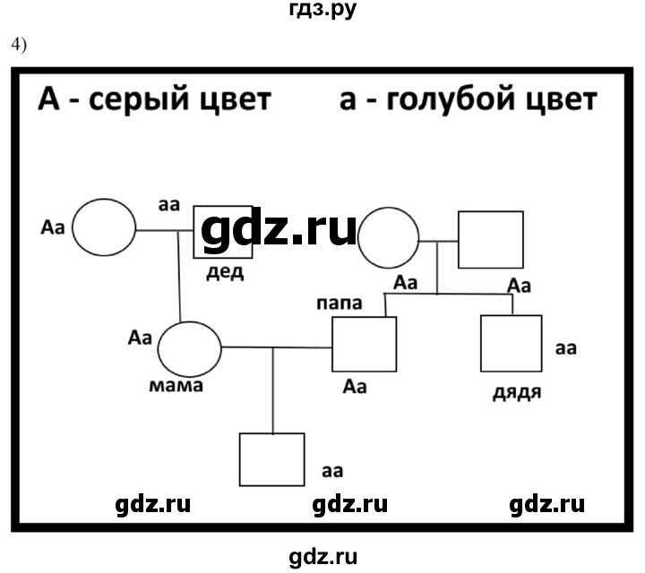 ГДЗ по биологии 10 класс Пасечник  Углубленный уровень §54 / Моя лаборатория - 4, Решебник