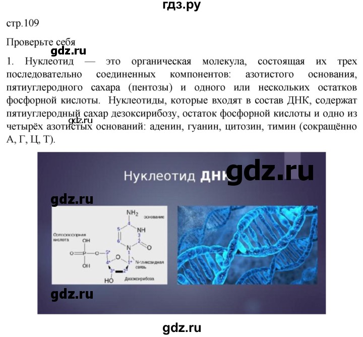 ГДЗ по биологии 10 класс Пасечник  Углубленный уровень §10 / проверьте себя - 1, Решебник