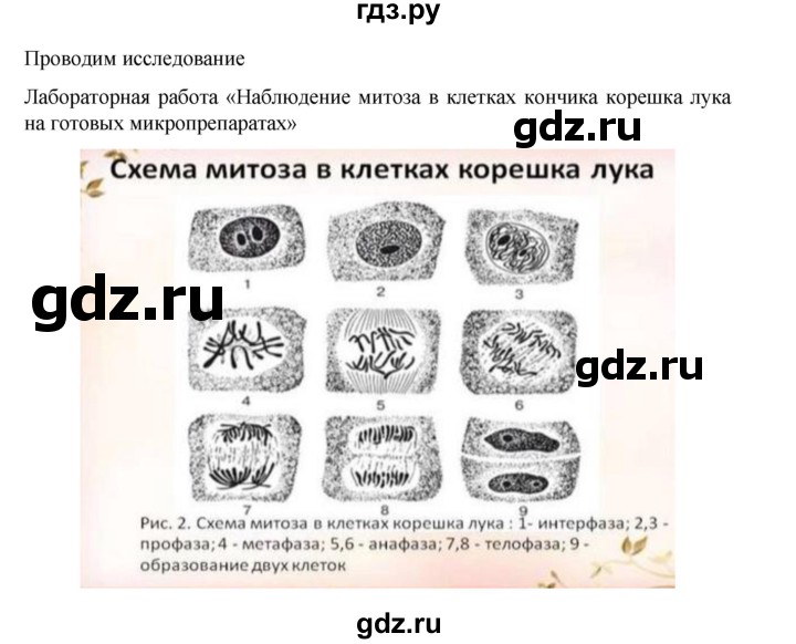 ГДЗ по биологии 10‐11 класс Агафонова  Базовый уровень §17 - 74, Решебник