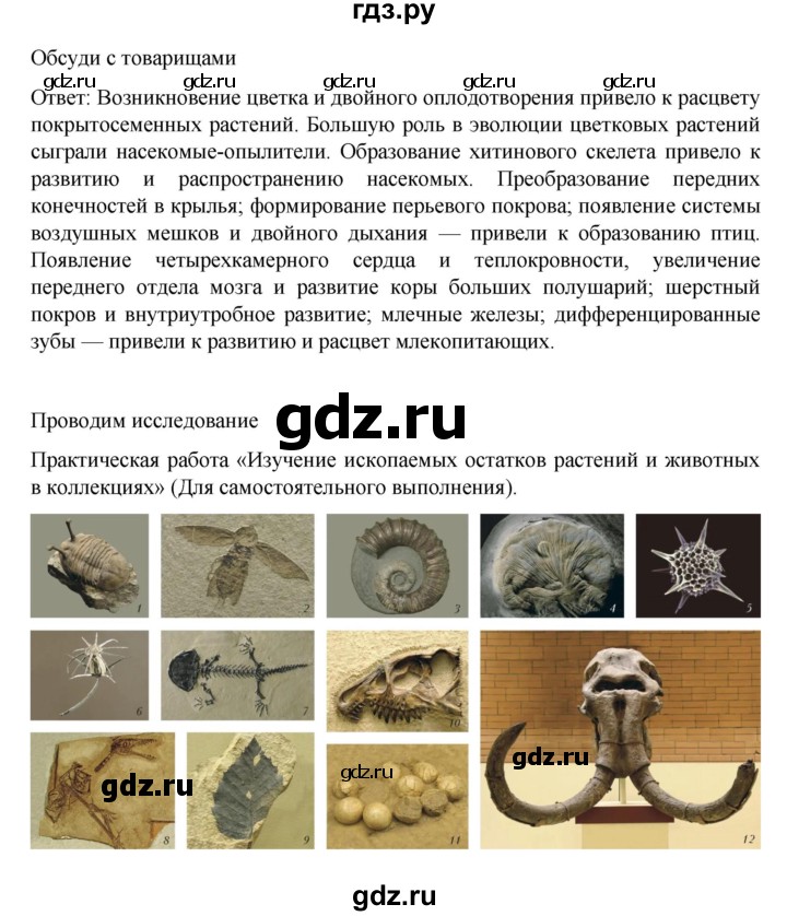 ГДЗ по биологии 10‐11 класс Агафонова  Базовый уровень §48 - 204, Решебник