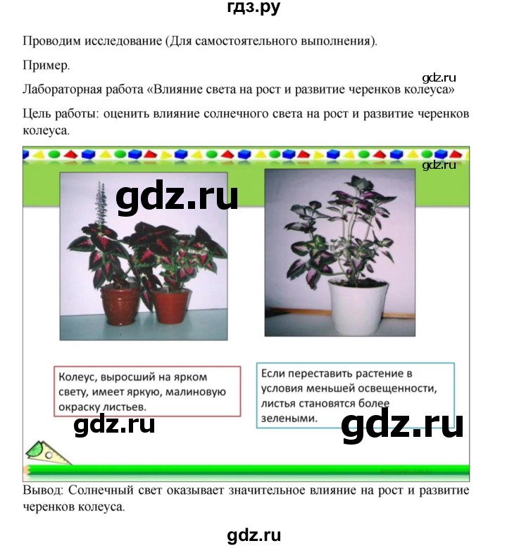 ГДЗ по биологии 10‐11 класс Агафонова  Базовый уровень §55 - 234, Решебник