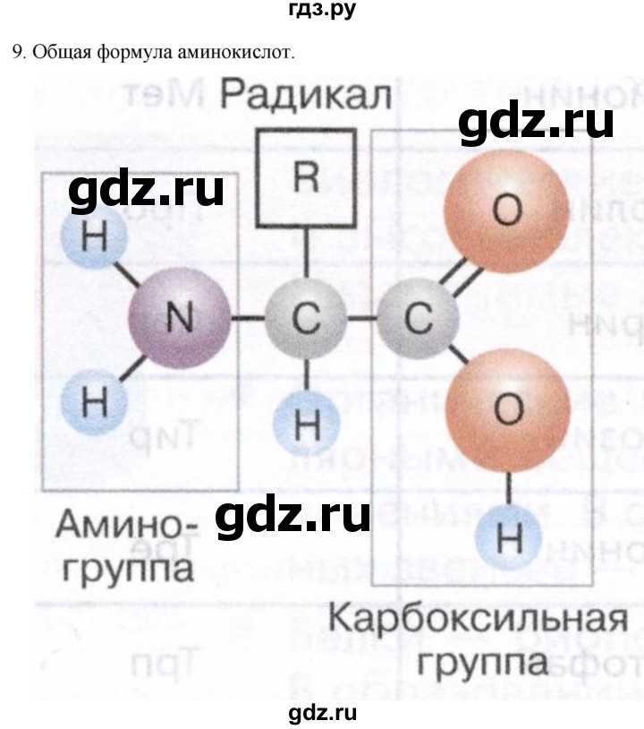 ГДЗ по биологии 9 класс Суматохин  Углубленный уровень часть 1 / §2 / задание - 9, Решебник