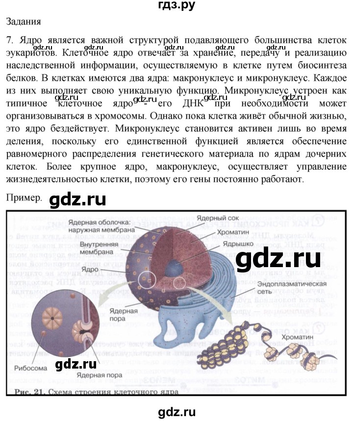 ГДЗ по биологии 9 класс Суматохин  Углубленный уровень часть 1 / §10 / задание - 7, Решебник