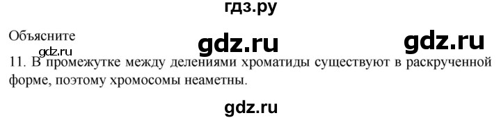 ГДЗ по биологии 9 класс Суматохин  Углубленный уровень часть 1 / §10 / объясните - 11, Решебник