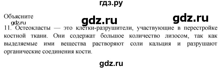 ГДЗ по биологии 9 класс Суматохин  Углубленный уровень часть 1 / §14 / объясните - 11, Решебник