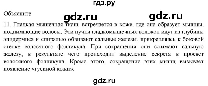 ГДЗ по биологии 9 класс Суматохин  Углубленный уровень часть 1 / §16 / объясните - 11, Решебник