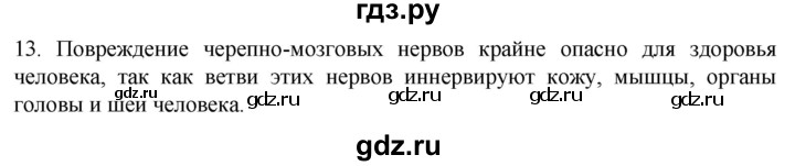 ГДЗ по биологии 9 класс Суматохин  Углубленный уровень часть 1 / §19 / объясните - 13, Решебник