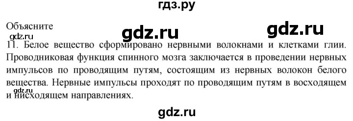 ГДЗ по биологии 9 класс Суматохин  Углубленный уровень часть 1 / §20 / объясните - 11, Решебник