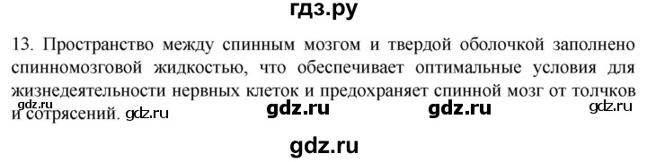 ГДЗ по биологии 9 класс Суматохин  Углубленный уровень часть 1 / §20 / объясните - 13, Решебник