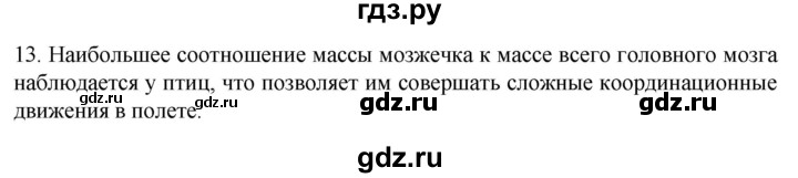 ГДЗ по биологии 9 класс Суматохин  Углубленный уровень часть 1 / §21 / объясните - 13, Решебник