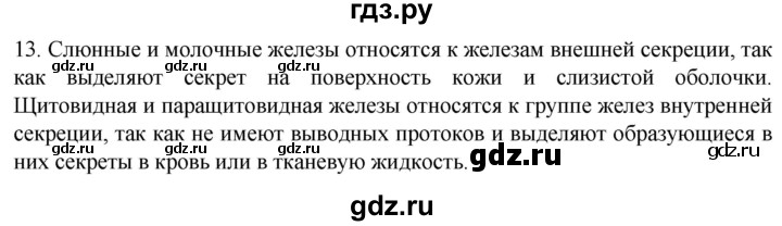 ГДЗ по биологии 9 класс Суматохин  Углубленный уровень часть 1 / §32 / объясните - 13, Решебник