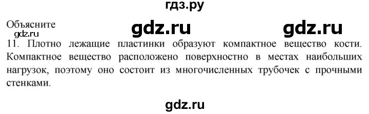 ГДЗ по биологии 9 класс Суматохин  Углубленный уровень часть 1 / §39 / объясните - 11, Решебник