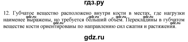 ГДЗ по биологии 9 класс Суматохин  Углубленный уровень часть 1 / §39 / объясните - 12, Решебник