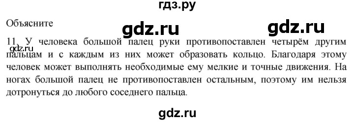 ГДЗ по биологии 9 класс Суматохин  Углубленный уровень часть 1 / §41 / объясните - 11, Решебник