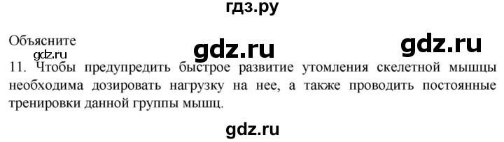ГДЗ по биологии 9 класс Суматохин  Углубленный уровень часть 1 / §43 / объясните - 11, Решебник