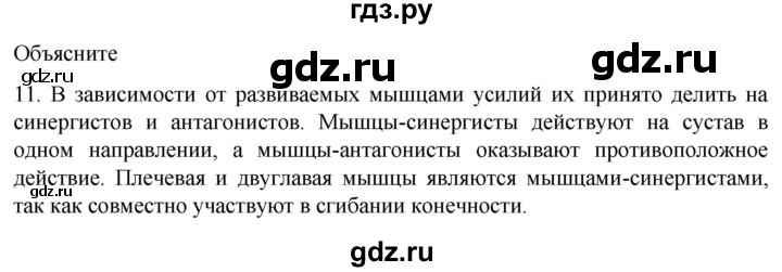 ГДЗ по биологии 9 класс Суматохин  Углубленный уровень часть 1 / §44 / объясните - 11, Решебник