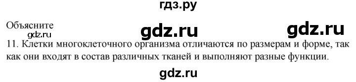 ГДЗ по биологии 9 класс Суматохин  Углубленный уровень часть 1 / §8 / объясните - 11, Решебник