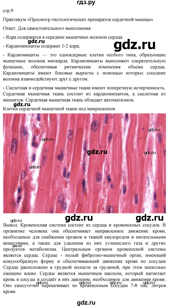 ГДЗ по биологии 9 класс Суматохин  Углубленный уровень часть 2 / §1 / практикум - стр. 9, Решебник